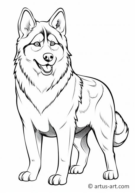 Husky Coloring Page For Kids
